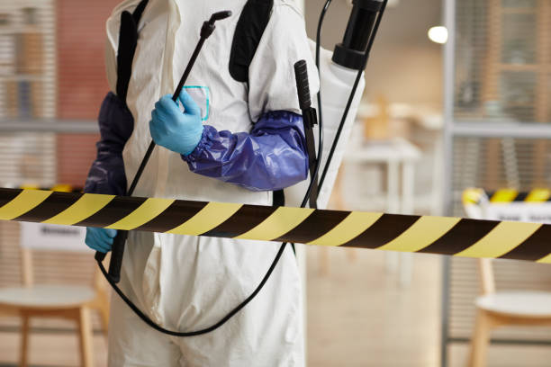 Professional Odor Removal technician working in Alfred, ME